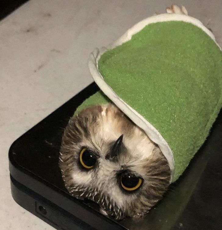 bf37af59af92cae0192db1f06b