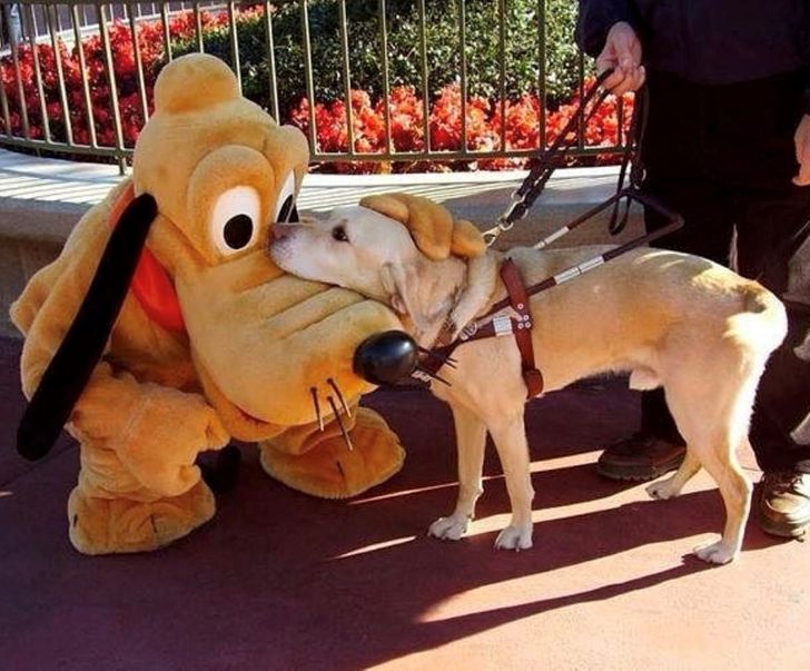 bf408a5277b3cd6dcee49ed442