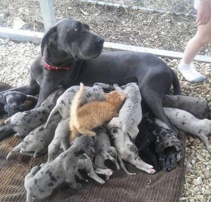 bf4348591fa5a5cdbd5af3c852