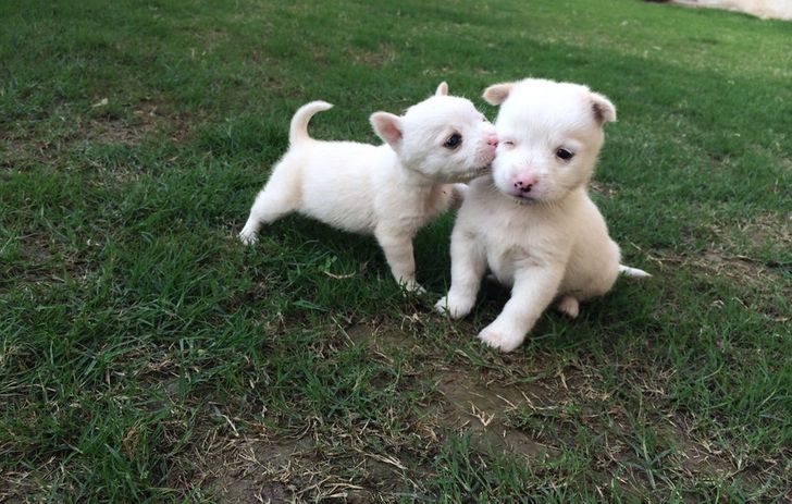 bf49ec52a89e38353adbf5e053