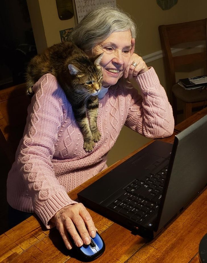 bf526e5a8e9f1304e571d76be0