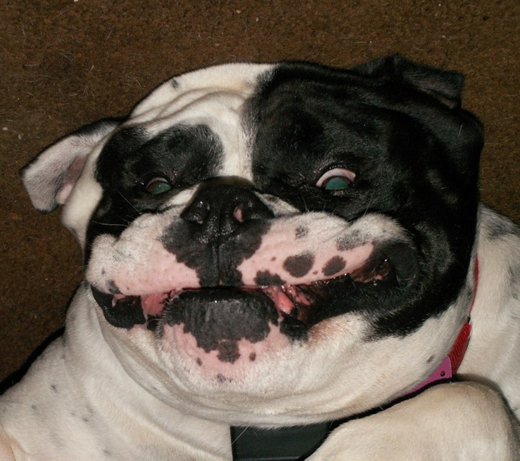 bf531f58ccafabca6de23ee6f7