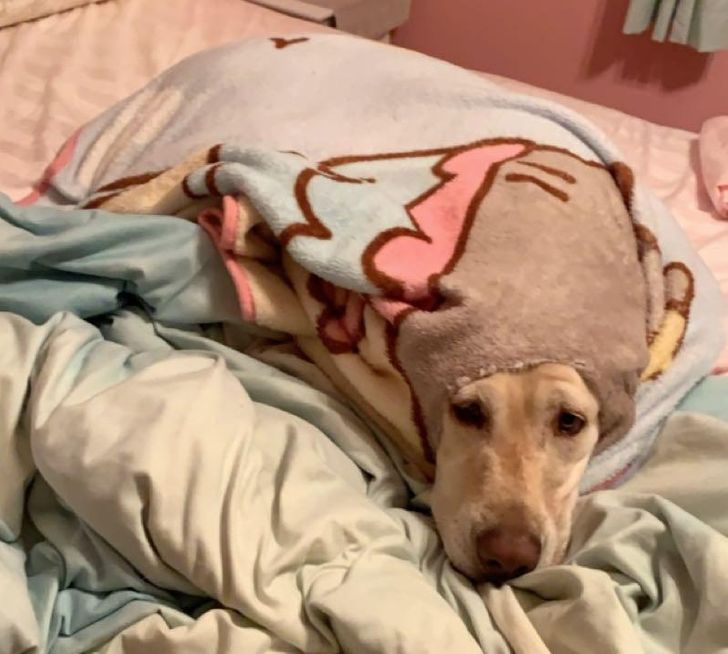 bf545951df809e0e7c5c702a9e bf545951df809e0e7c5c702a9e