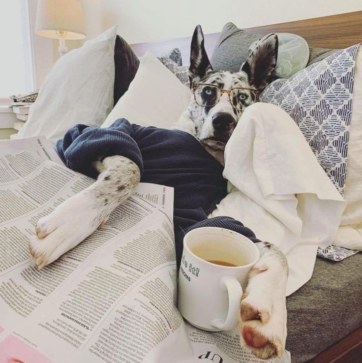 bf583355e09f6a68aea5a56a81