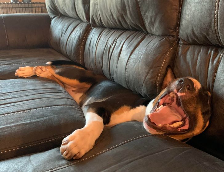 bf6b355a568382e71d82c72ed0