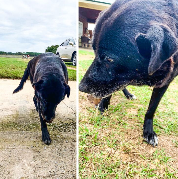 bf6ea5559196b9137a547d2f7f bf6ea5559196b9137a547d2f7f