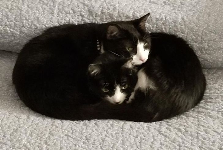 bf6f205bb2bd115ffa3efe4e0f