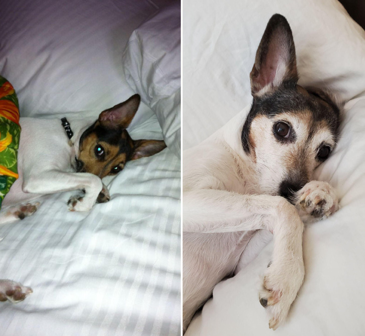 bf765d5165ad6bbf4a3f11b30f bf765d5165ad6bbf4a3f11b30f