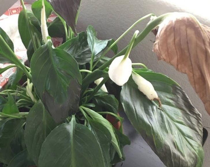 bf78275b10b4d2045badedf694