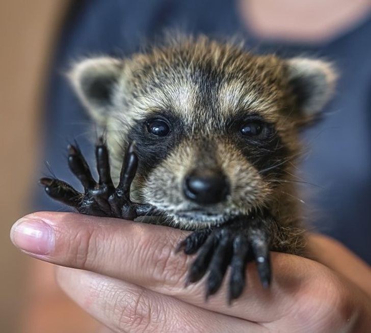 bf7cb15b6fa426040ba66890b6