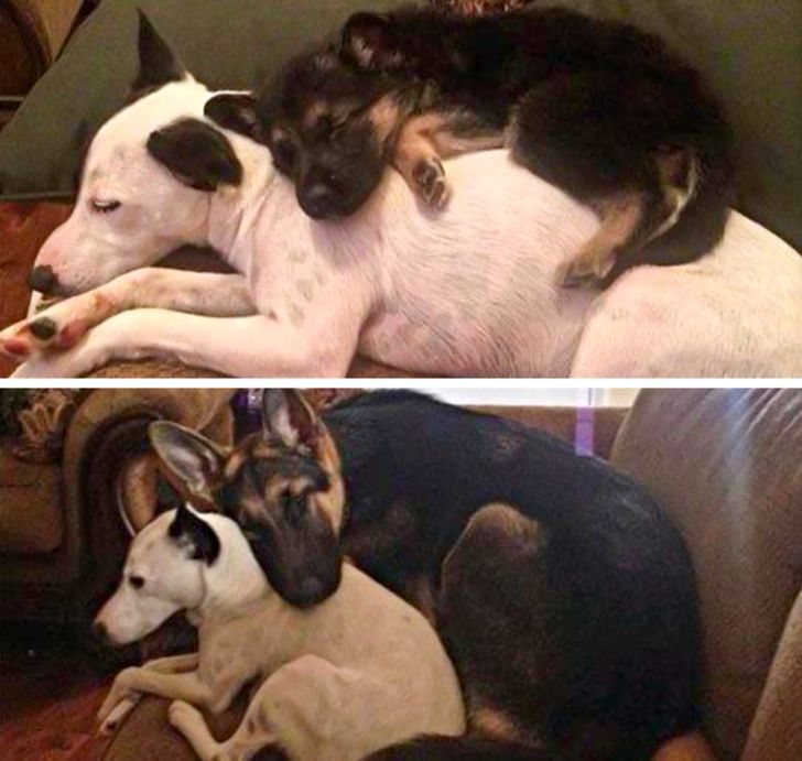 bf8607545aa70dd8f242fa7921