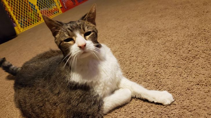 bf8746568c89d054b03a62d10d