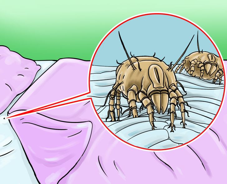 bf9d925800973322c828511792