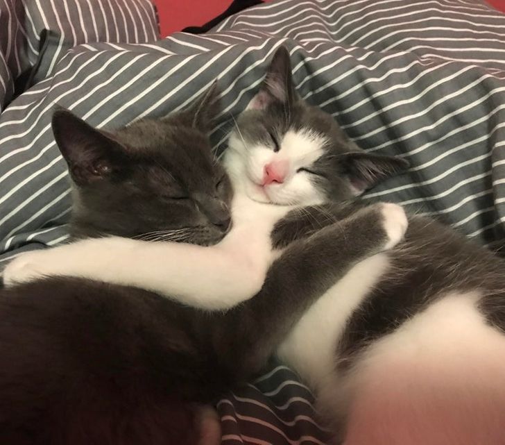 bfafa053e48af057fc6552da93