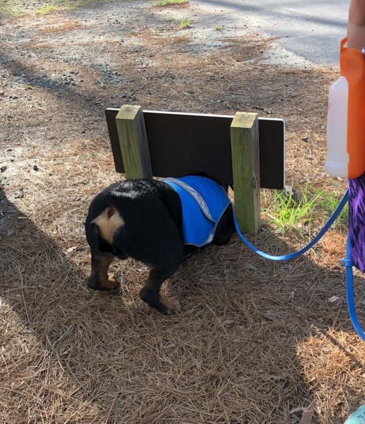 bfb91f5af790f5099c1c35115b