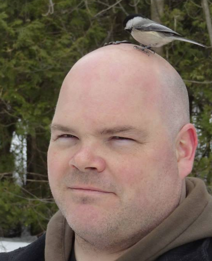 bfc6295883a81379a949cf12cf