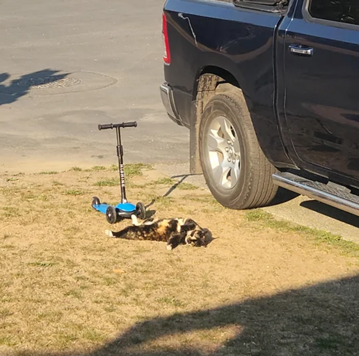 bfc8c95cc0a104349d4c19023e bfc8c95cc0a104349d4c19023e