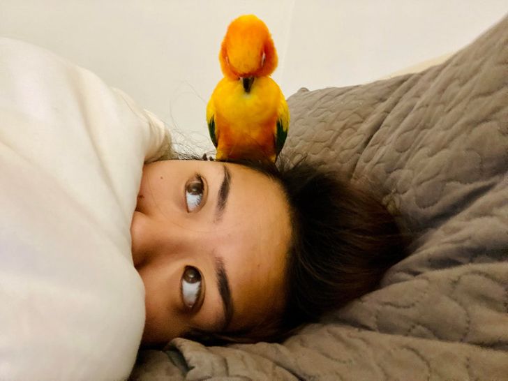 bfd15a5f22b6b0f61c1f5da330