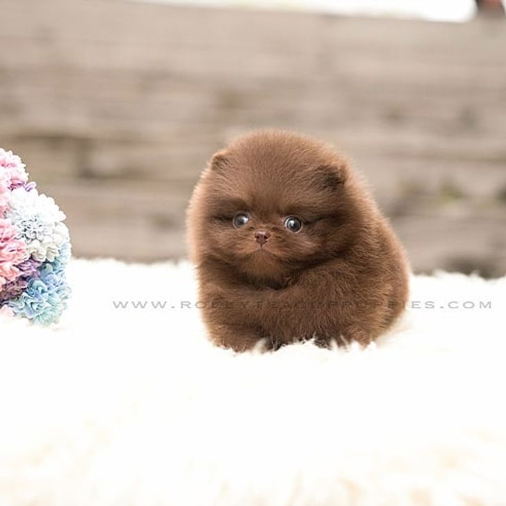 bfd4ce5c188fdf84edeed32432