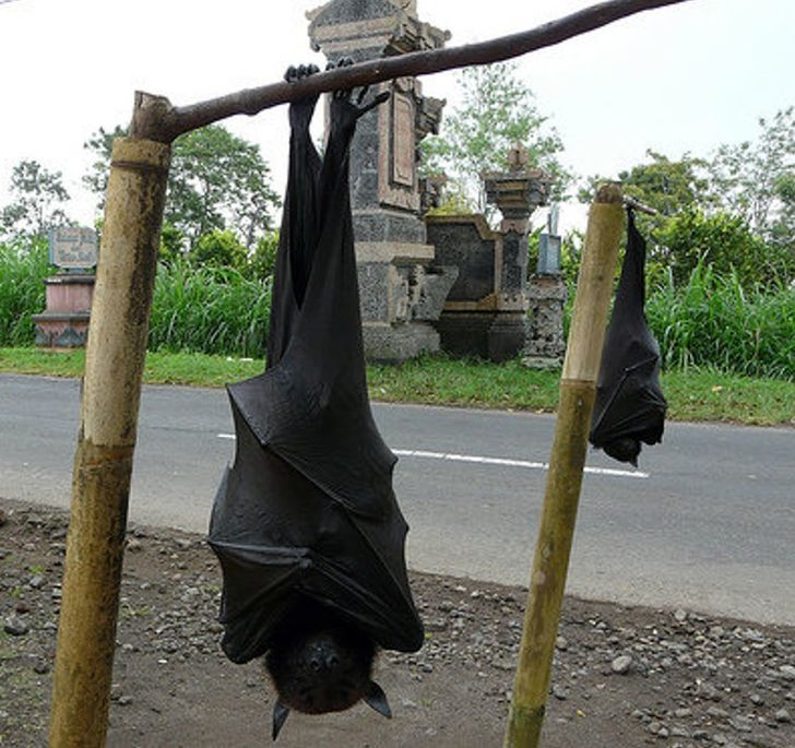 bfd5d752cbb818f96e24aee9b4