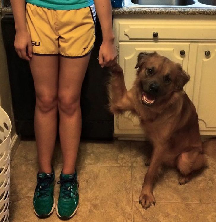 bfe289595ea98e08b580f26661