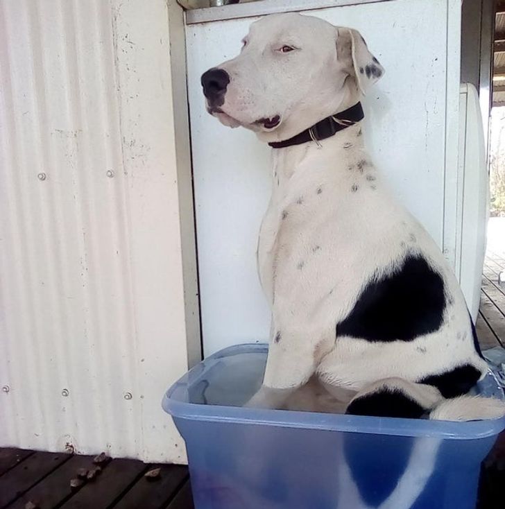 bfe91456b1885f886de49ef0d5 bfe91456b1885f886de49ef0d5