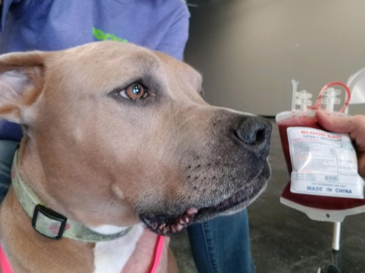 bfeaeb535da0d3cc69386230af