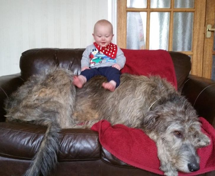 bfeba75dafabff7b8b6dc52d4f