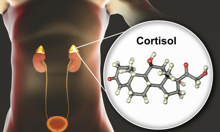 bff0eb51f4919d5562fc7ba841