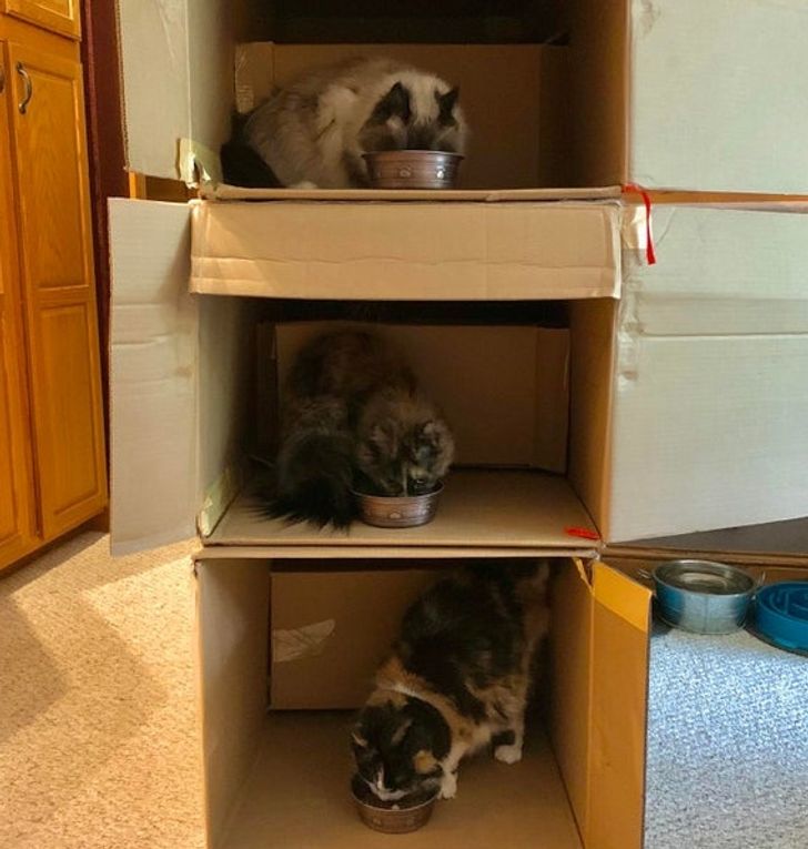 bff3325e63a5762ac0ec2e4509