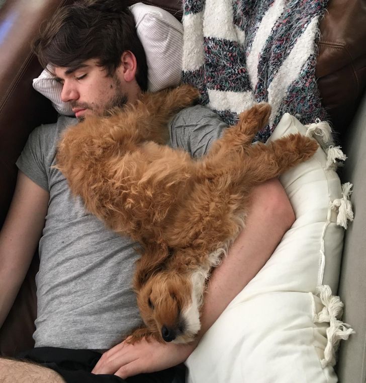 bff38e5c05b1e6eb69dc37d3ed