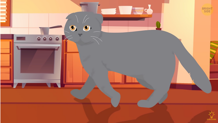 c0172f57c9ad1f988d18f3cf62