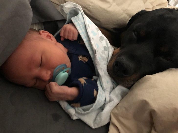 c01d87553d8323dd017fdbbca9