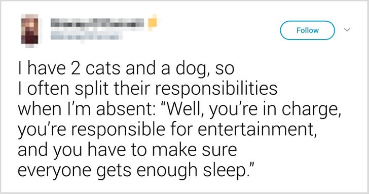 c01dbe5818aae91256b8ecdc79