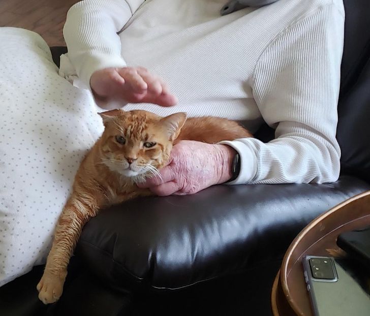 c01e765389854a785707012bca