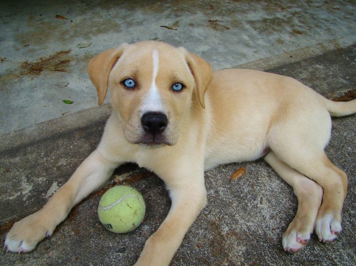 c02c5555a5bed4943095df22bf