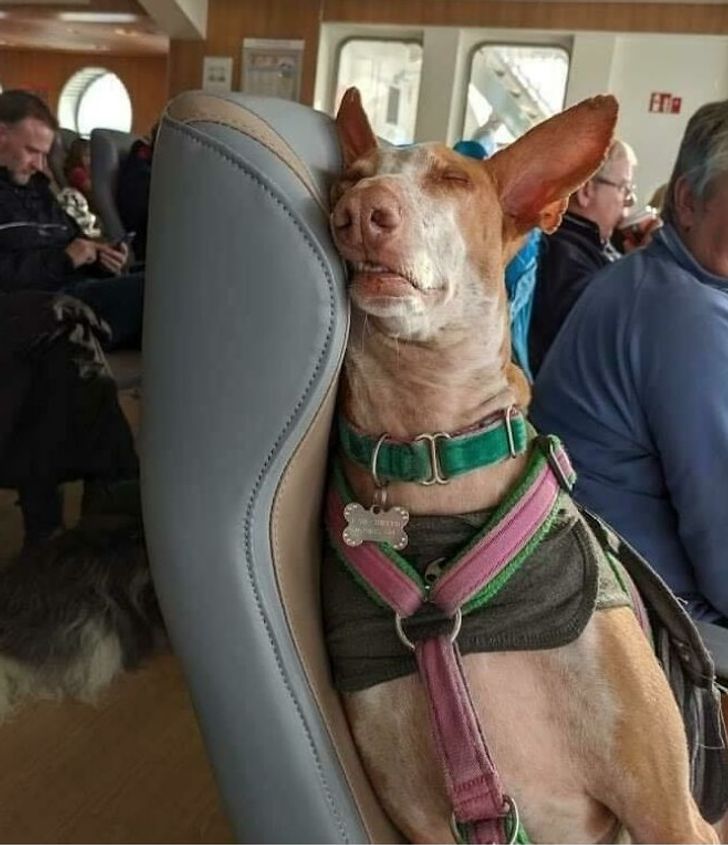 c02ebc50fc996a6539b3d71731