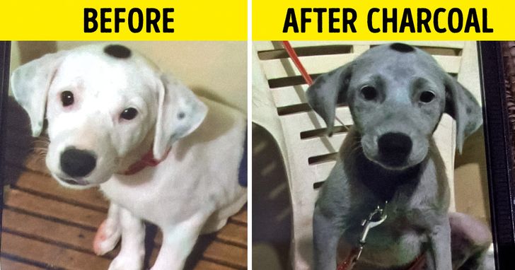 c02fce5e13ad84cd5efcf3657d