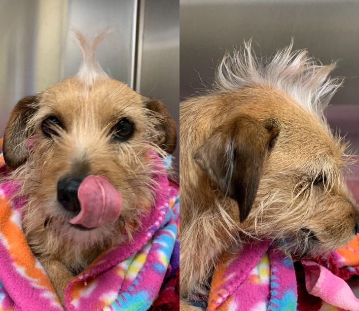 c0307053d8a7fac0235387e947