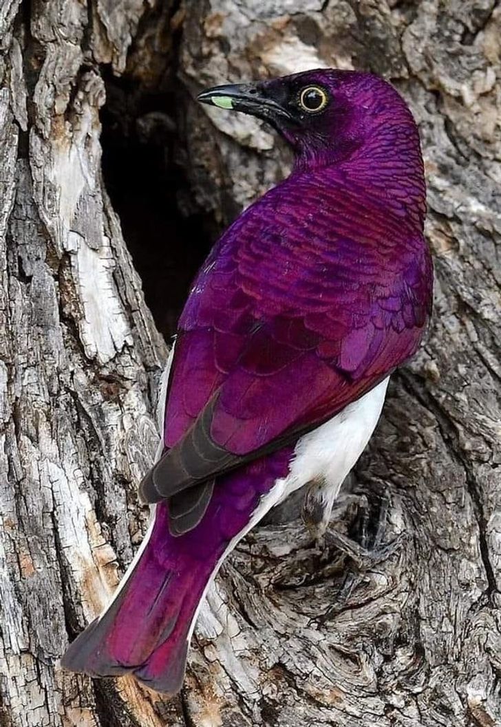 c032f854099de53bb9237548ee