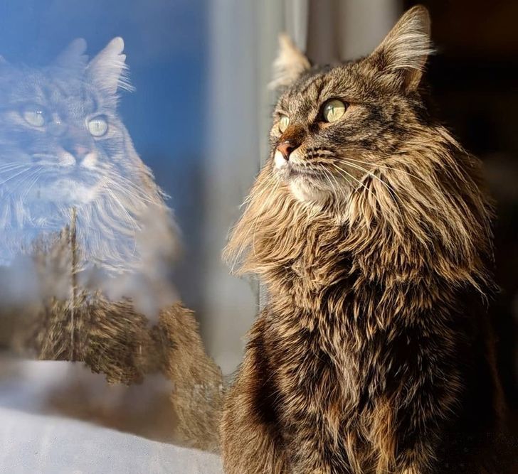 c039765817894c1cbf76b2d5e1