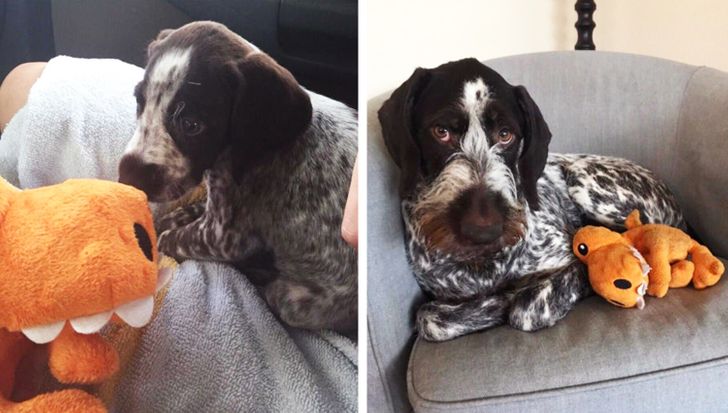 c0404c5975947cf8f13a91a8bf