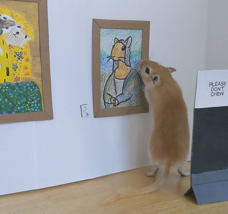 c041cb5e03b2ef2ae50ae1ce5f