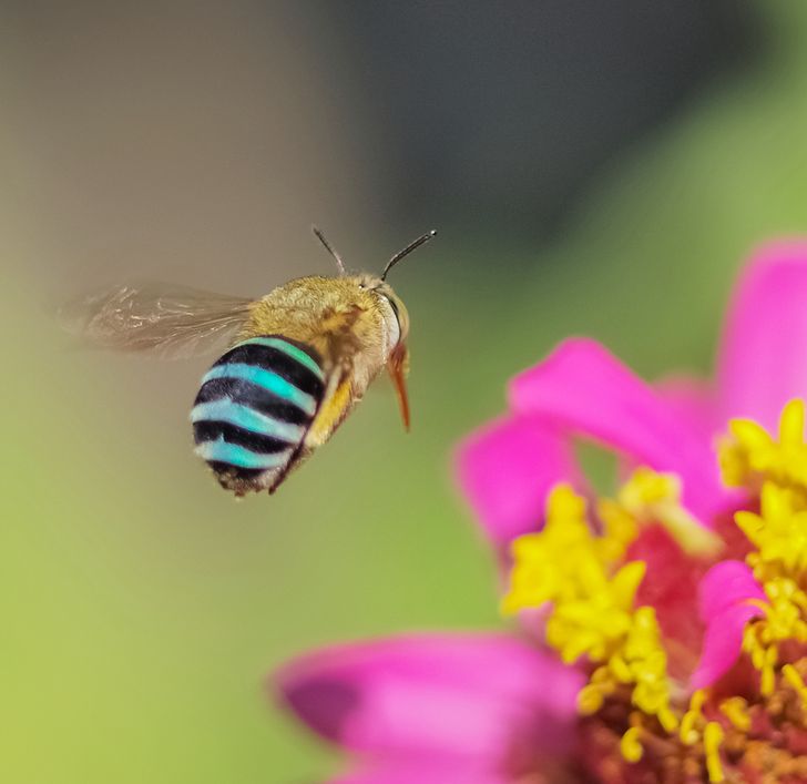 c046c258ffb64aa7e9126983c5