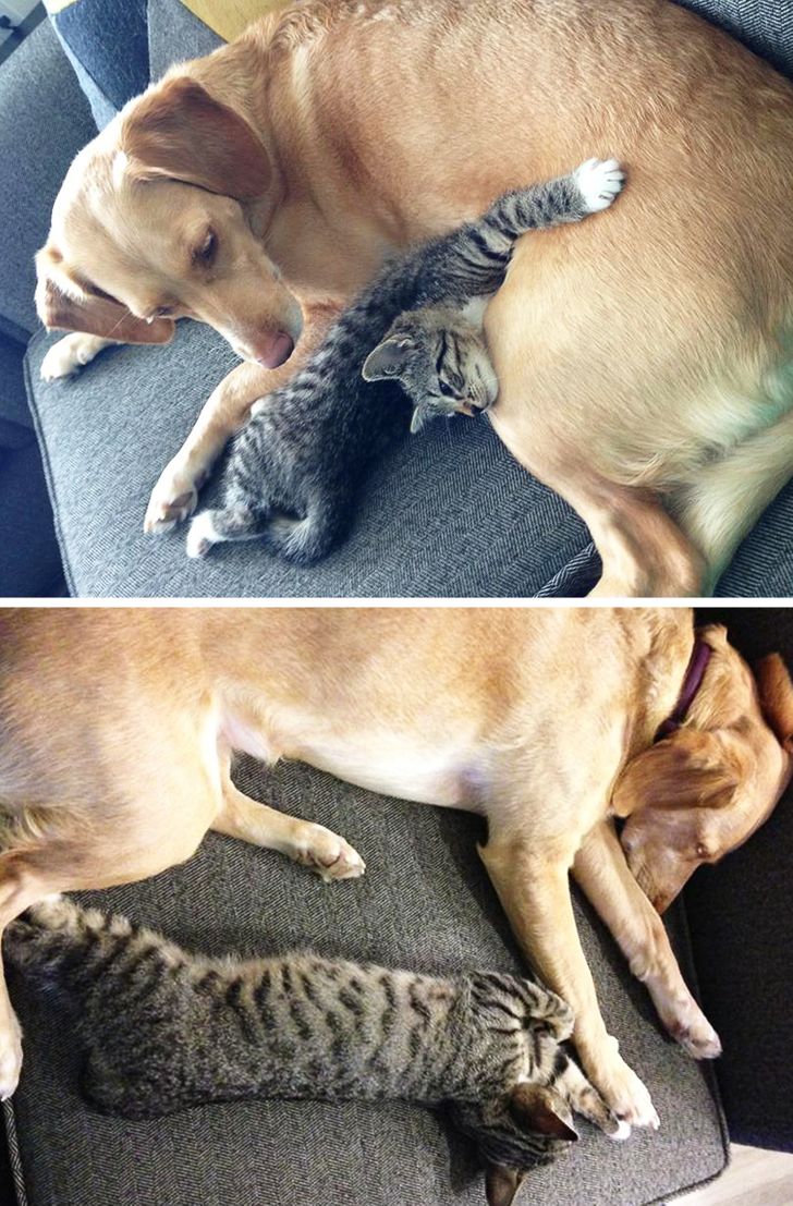 c04985503a8a4ee079d204e5cb