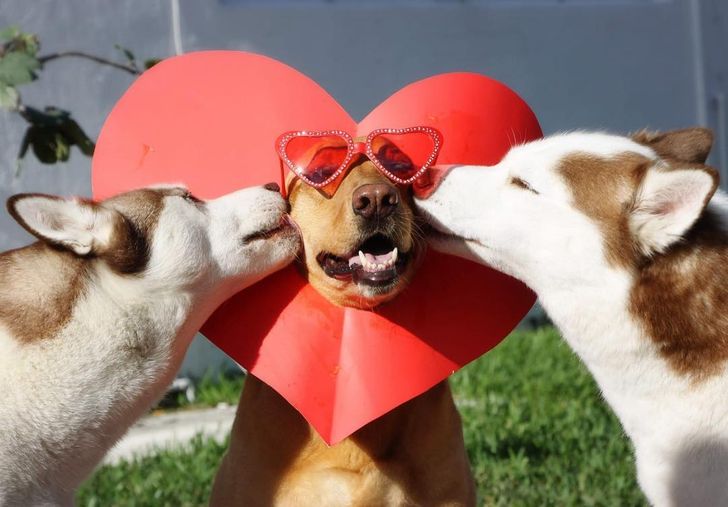 c04a1a540a9f903b268b569431