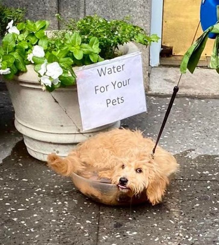 c051d153bf812274f341803cf2