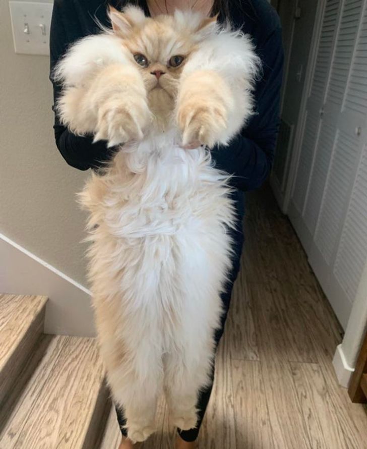 c0529b5e818b68531249243df4