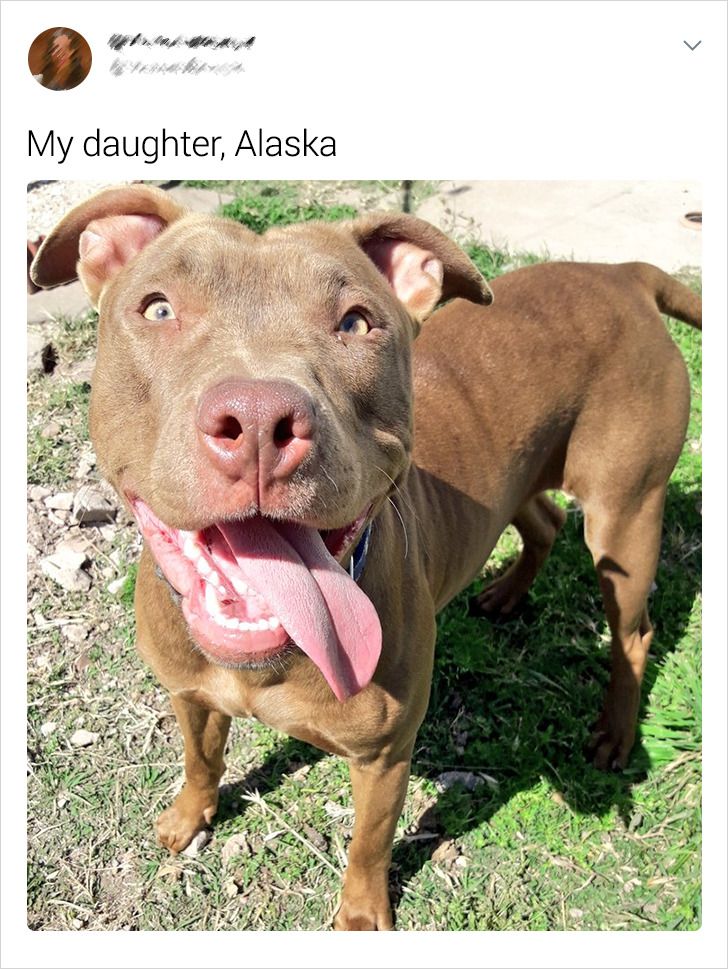 c056135a12988d10c9bb178d48