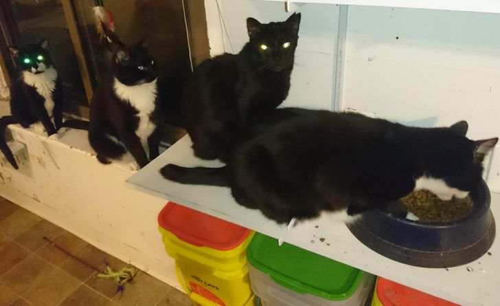 c058965d84a63fd38dd9481d15